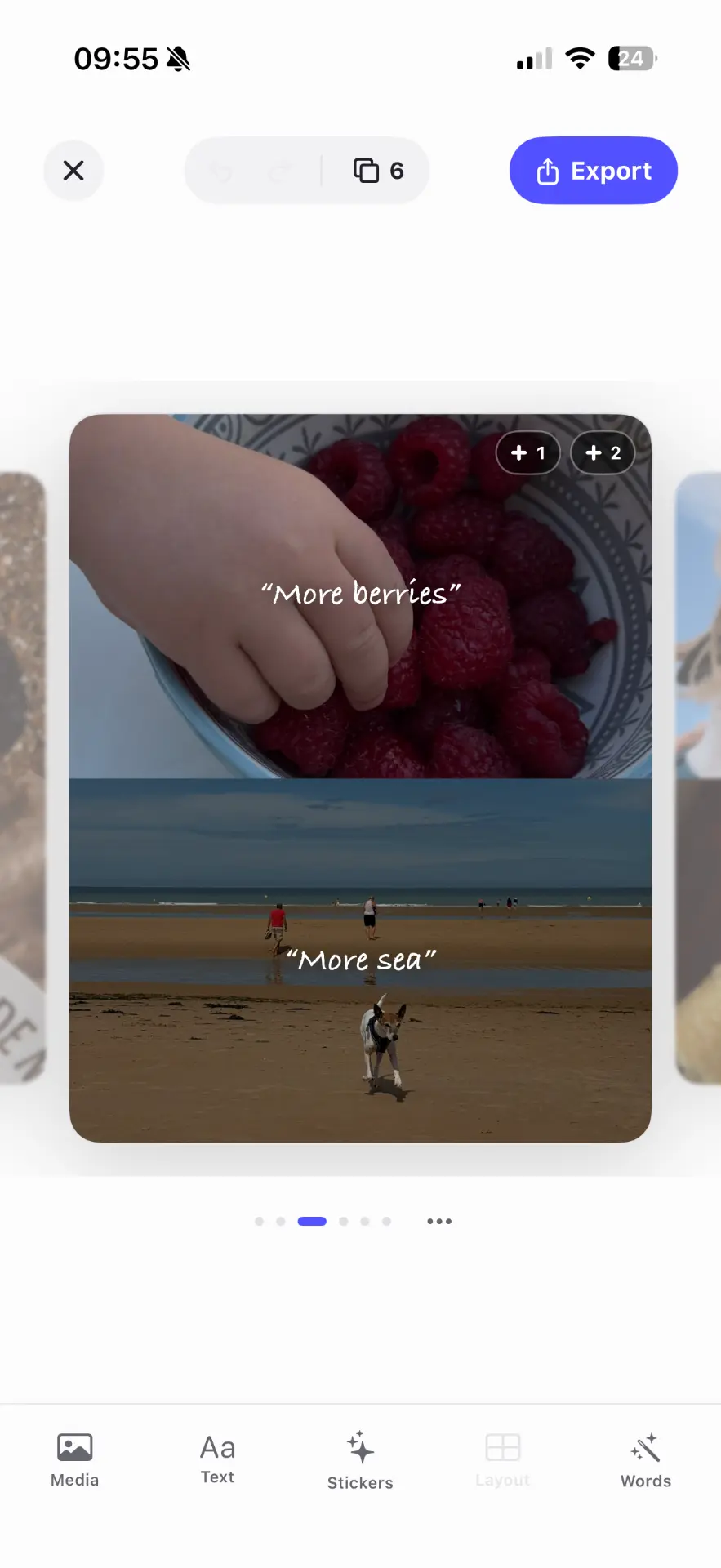 Crystal carousel editor showing raspberries and a dog on the beach